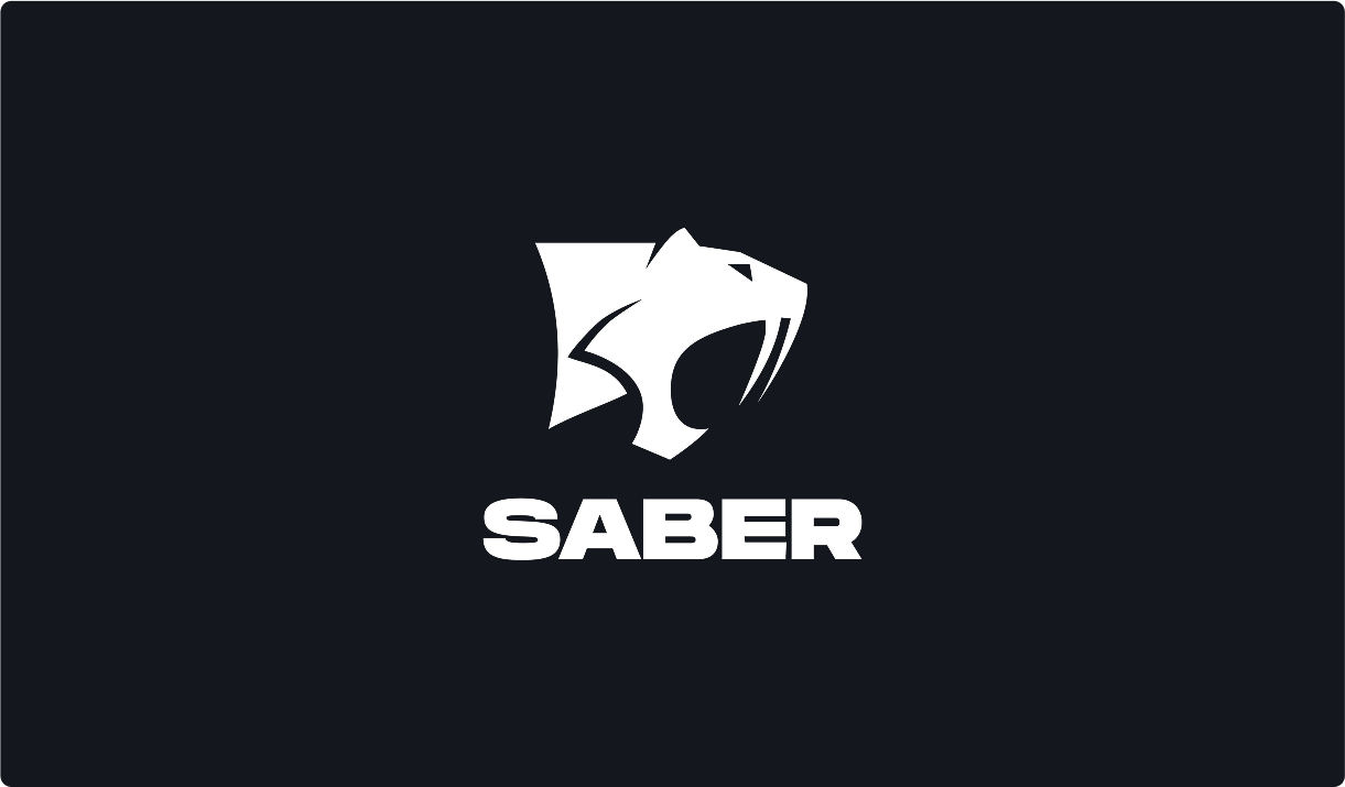 Saber Interactive case study