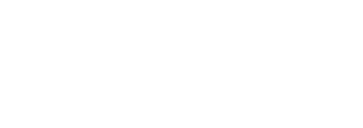 Directive